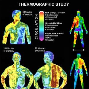 Gel naturel amincissant à la paraffine, lotion chaude <span class=keywords><strong>pour</strong></span> brûler les graisses, Anti-Cellulite, <span class=keywords><strong>pour</strong></span> la perte <span class=keywords><strong>de</strong></span> poids, 1 pièce - Product Image 3