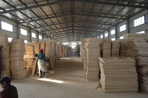 <span class=keywords><strong>Toile</strong></span> triangulaire en coton de 20 cm, 280 g, <span class=keywords><strong>toile</strong></span> <span class=keywords><strong>tendue</strong></span>, <span class=keywords><strong>toile</strong></span> encadrée blanche, <span class=keywords><strong>toile</strong></span> pour le dessin - Product Image 6