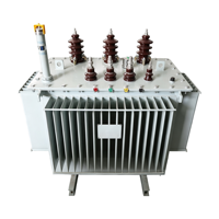 Transformateur de distribution triphasé immergé dans l'huile HDT S20-M 100kVA-315kVA 10kV 480V certifié IEC CE OEM ODM Moyen-Orient