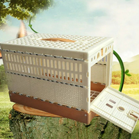 Cage pliante Portable en plastique pour pigeons, boîte de Transport pour animaux de compagnie