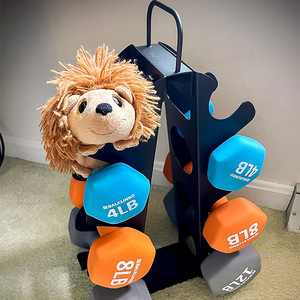 Wellshow 4 Tier Dumbbell Rack <strong>Weight</strong> Rack for Home Gym Dumbbell <strong>Stand</strong> for Free <strong>Weights</strong> - Product Image 3
