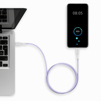 Câble de charge rapide OTG Type-C PD 60W personnalisé avec logo TPE durable, moderne, pour la promotion et les affaires