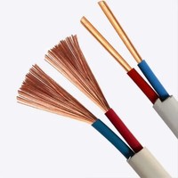 Câble plat double terre 6242y 2x1mm²-2x1.5mm² 6243y 3x1mm²-3x2.5mm², isolation PVC, conducteur en cuivre, tension nominale 750V