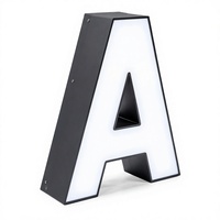 Lettres lumineuses LED de 3, 4 et 5 pieds pour anniversaires, mariages, bars et hôpitaux – Installation de lettres autoportantes extérieures