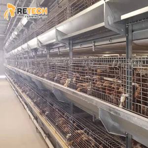 Gabbia per polli con pinza a batteria a 4 livelli di tipo H di grandi dimensioni completamente automatica - Product Image 1