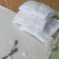 Erwachsenen-Einweg-Slip-Einlagen - Weiche, Atmungsaktive Zellstoff-Einlagen mit Hoher Saugfähigkeit, Bedrucktes Design in Blattform