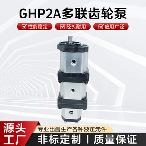 Pompe à engrenages hydraulique GHP2A Sino-Suisse, pompe à huile à engrenages externes haute pression, pompe de surpression industrielle - Product Image 5