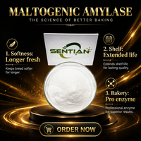 Poudre d'enzyme amylase maltogénique de qualité alimentaire 1 000 000 U/g, agent anti-âge pour le pain, prolongateur de durée de conservation