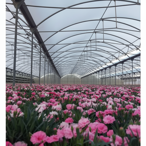 ฟิล์มพลาสติกโพลีเอทิลีนสำหรับโรงเรือนเพาะปลูกพืชผักแบบขายส่ง พร้อมความยาวที่ปรับแต่งได้ - Product Image 1