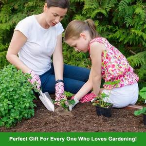 Mini pelle pour plantes en pot, outils de jardinage, petite houe pour la plantation de fleurs, outils de plantation de légumes, outil de jardinage DIY pour la maison - Product Image 4