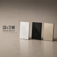 Interrupteur tactile intelligent WiFi/Zigbee Tuya Android 10A 2 gangs avec panneau en verre trempé, contrôle par application, 120x72x38mm, vente en gros sur mesure
