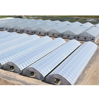 Film plastique agricole, système hydroponique pour tomates, structure de tunnel, cadre de serre agricole en polycarbonate