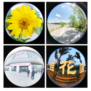 <span class=keywords><strong>Objectif</strong></span> de téléphone pour photographe GiAi, nouvel arrivage, <span class=keywords><strong>objectif</strong></span> fisheye à 185 degrés, longueur focale équivalente à 12 mm, <span class=keywords><strong>objectif</strong></span> externe pour téléphone portable - Product Image 3