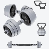 Ensemble d'haltères réglables en acier Wellshow 3 en 1 (haut-parleur, barre et kettlebell) 44 LB avec colliers de verrouillage rapide 47 pouces pour fitness à domicile