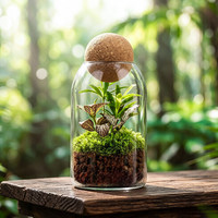 Vase cylindrique en verre DIY pour table, terrarium, pot de fleurs avec couvercle en liège pour plantes hydroponiques, mousse, décoration intérieure
