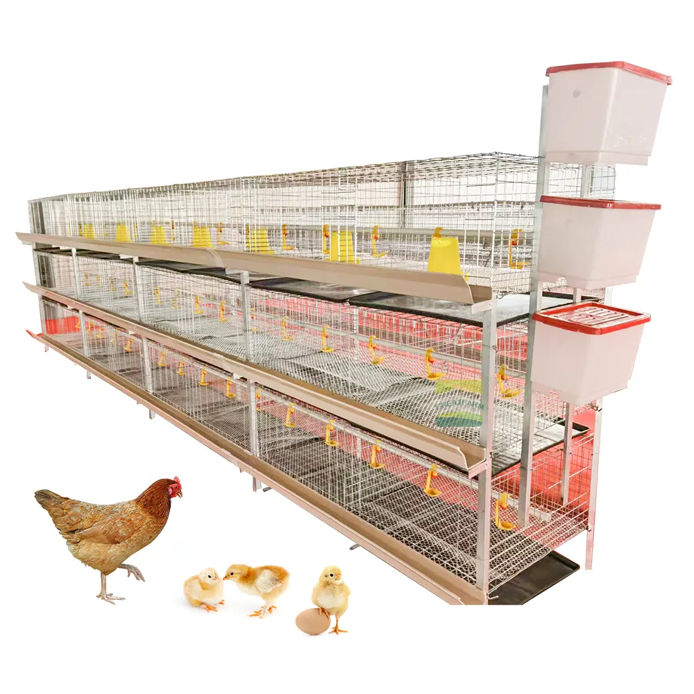 2023 nuevo producto, jaula automática para batería de pollito, caja de anidación de pollo, gallineros proporcionados, jaula para pollos de capa tipo H 1503