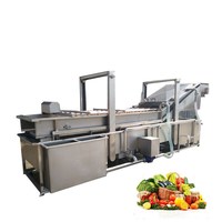 Goedkope complete lijn voor het wassen, blancheren, koelen, vriezen en verwerken van versgevroren fruit en groenten