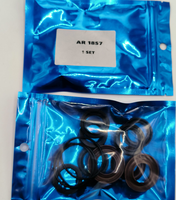 Kit de réparation de joints XR AR1857 de haute qualité, pour pompe de nettoyeur haute pression Annovi Reverberi, joints FKM en tissu et joints toriques premium