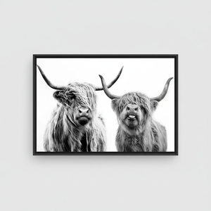 Highland Cow Canvas Print: Elegant Black & White Scottish Decor,BLACK <b>FRAMED</b> CANVAS - Product Image 2