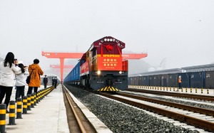 Treni Merci FBA Trasportati via Ferrovia verso UE/Russia/Bielorusia/Lettone/Estonia/Danimarca/Finlandia/Polonia/Germania - Product Image 6