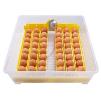 48 Oeufs Incubateur Capacité Poulailler Porte Usine Utilisé Pour La Vente Idées De Machines Pour Petites Entreprises
