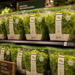 Sacs coniques en CPP imprimés sur mesure en gros avec trous d'aération pour l'emballage de fruits frais - Product Image 5
