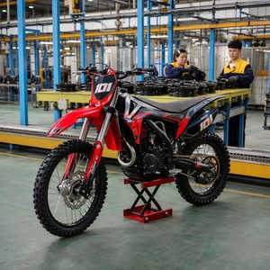 Motocicleta Todoterreno Enduro de 300cc, Motor Refrigerado por Aire, Escape de Acero Inoxidable, Tanque de 7L, Componentes Reforzados - Product Image 2