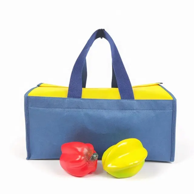 Aangepaste Picknicktas Herbruikbare Ijs Cool Bags Herbruikbare Reizen Picknick Cool Geïsoleerde Koeltas