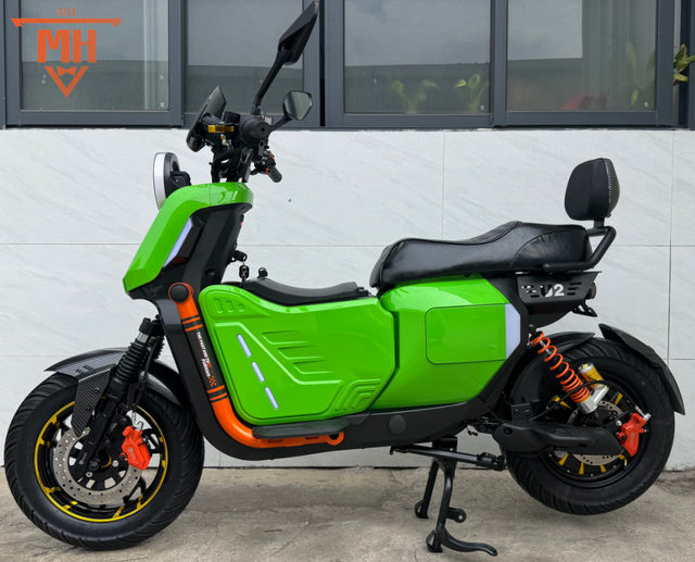 Adult Electric Cycle Rear Hub Motor Brushless 600W-1000W High Speed Carbon Steel Frame Front Rear Shock Absorption 12-Speed