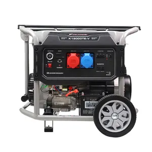 New Portable Home Use Electric 3kw Silent Gasoline Generator Inverter 3000w Customizable