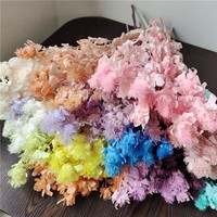 Bunga Kering Alami Warna Asli, Anggur, Nanas, Anyelir, untuk Dekorasi Pernikahan dan Rumah, Grosir Partai Besar