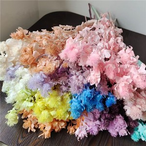 ดอกไม้แห้งสีธรรมชาติแบบขายส่งจำนวนมาก สำหรับตกแต่งงานแต่งงานและบ้าน เช่น ดอกส้ม ดอกสับปะรด ดอกคาร์เนชั่น - Product Image 5