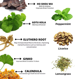 Té Herbal OEM Memory Focus con Gotu Kola, Ginkgo y Ho Shou Wu, Mezcla para Apoyar la Salud Cerebral, Té en Bolsitas de 50g - Product Image 6