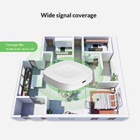 Interruptor Inteligente WiFi Zigbee Mini Mesh TUYA Graffiti para Hogar y Hotel, con Alimentación Tipo-C, Control por Aplicación Android/PC