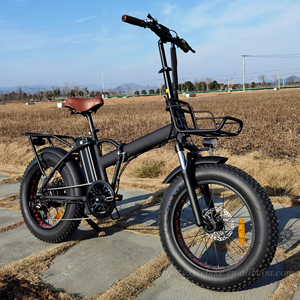 Vélo <span class=keywords><strong>pliant</strong></span> électrique Offre Spéciale 750W 20 pouces gros pneu vélo pliable électronique neige/plage nouveau vélo E - Product Image 5