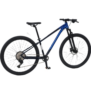 Bicicletta da Montagna in Lega di Alluminio da 29 Pollici, 10 Velocità, Freno a Disco, Sospensione Anteriore, Display Digitale, Cambio a Manopola per Fuoristrada - Product Image 1