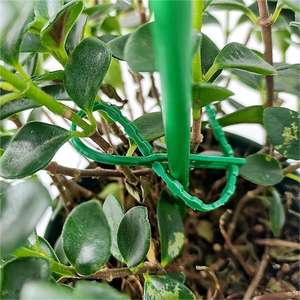 Câbles de <span class=keywords><strong>fixation</strong></span> pour plantes de jardin, attaches pour légumes de serre, boucle pour vigne, fournitures de jardin essentielles - Product Image 6