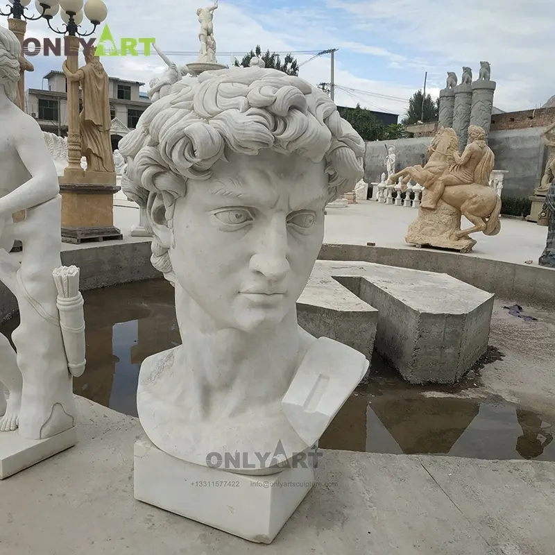 Toptan ünlü antik roma bahçe dekoru heykeli yaşam boyutu doğal beyaz mermer David büstü heykel