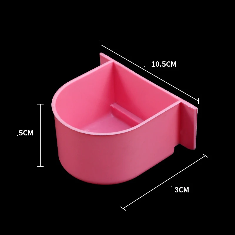 yellow parrot quiche feeder