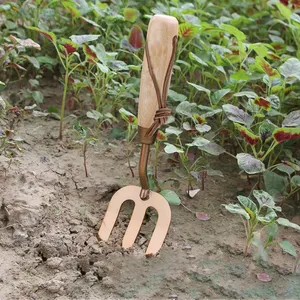 High End Wood Handle Luxury Gold Color 3 Piece Set Professional Garden Tools