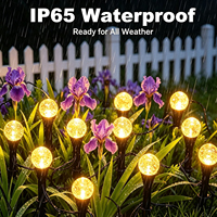 Lampes solaires à 20 LED IP65 avec globe en verre craquelé, à piquer dans le sol, guirlandes lumineuses étanches pour jardin, cour, allée, patio, décoration