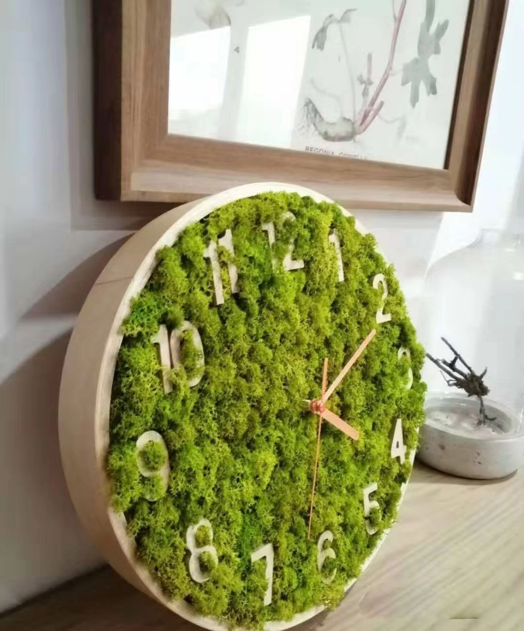 pared de musgo natural