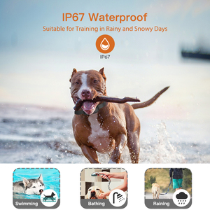 Перезаряжаемый и водонепроницаемый дистанционный тренировочный электронный ошейник для собак с вибрационным электрическим сигналом - Product Image 5