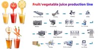 Complete Fruitproductielijn Omvat Het Reinigen Van Juicing Vacuümontgassing Homogenisatie Sterilisatie Vulverpakkingsmachine