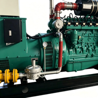 Générateur à gaz 20KW30kW pour l'alimentation de secours domestique, monophasé 220V 50Hz, démarrage électrique, longue autonomie et fonctionnement silencieux