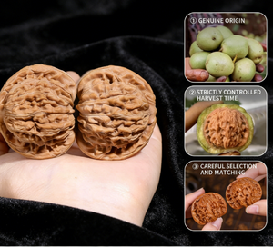 Par de Nueces Wenwan Naturales de Árbol Antiguo, para Juego Manual, Decoración, Arte y Colección - Product Image 4