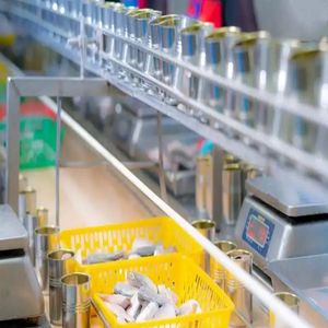 Máquina de enlatado de corte de sepia de pulpo de alta eficiencia Planta de producción de bagre enlatado - Product Image 2