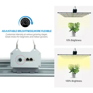 CE RoHS LED CRESCE LUZ Plug & Play AC100-277V 1000W 1100W espectro completo para cultivo de horticultura comercial