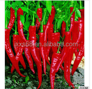 सिंथेटिक/प्रकृति खाद्य ग्रेड कैप्सिसिन क्रिस्टल पाउडर शुद्ध कैप्साइसिन आपूर्तिकर्ताओं दर्द के लिए थोक मूल्य - Product Image 3