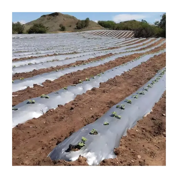 Produtos de plástico agrícolas personalizáveis